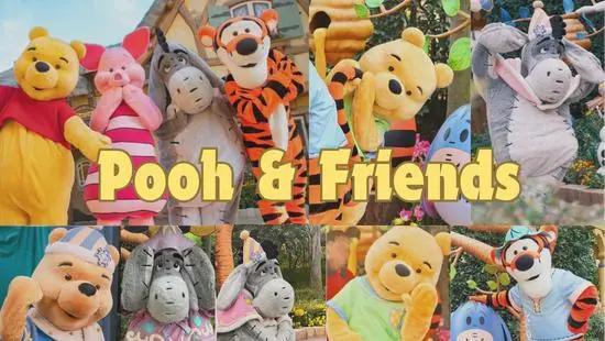 Pooh-Friends DAYDREAMING LAND