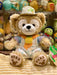 Shanghai Disney 2024 Summer Duffy Series Duffy Plush Toy Gift - DAYDREAMING LAND